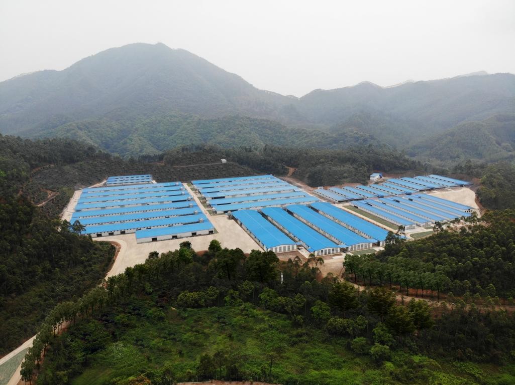 出口示范基地“進階記”④ | 出口創(chuàng)匯8677萬美元，唐順興食品爭當農(nóng)產(chǎn)品出口大戶