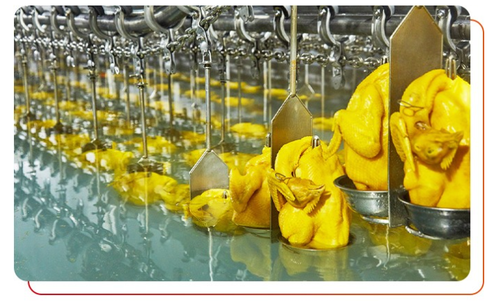  如何選購(gòu)白切雞供應(yīng)商