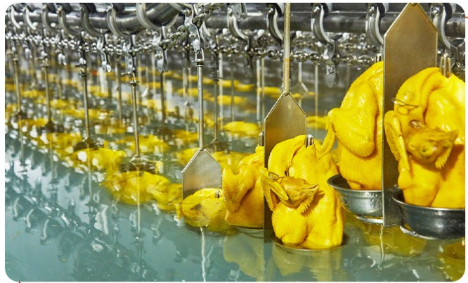 白切雞食材供應(yīng)商有安全保障嗎？